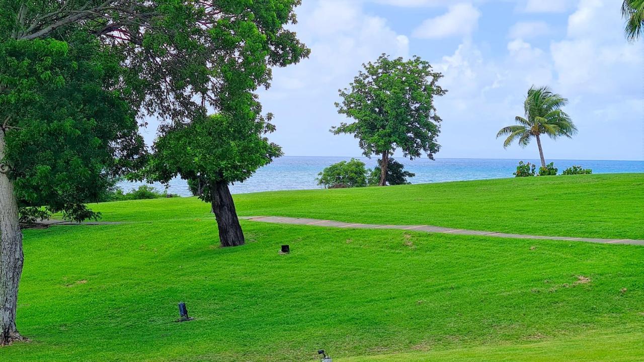 Studio Premium Vue Mer, Plage แซ็งต์-ลูซ ภายนอก รูปภาพ